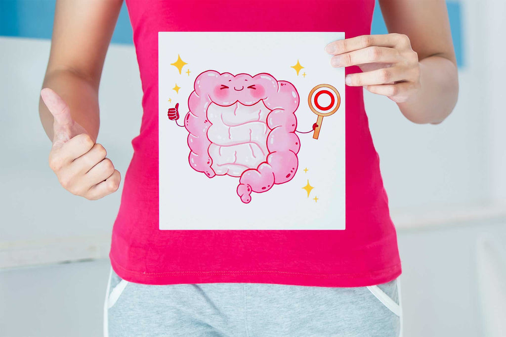 Probiotics 101: Your Guide to Maximizing Gut Health