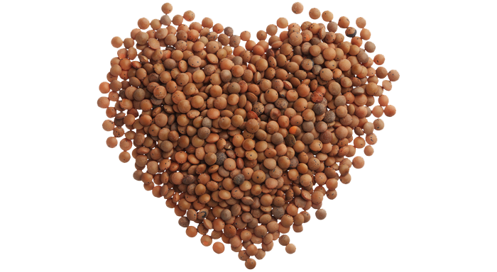Get Lean with Lentils and Their Health Benefits
