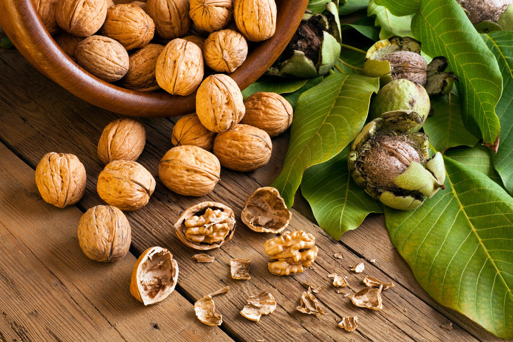 Study: Walnuts May Help Improve Gut Health